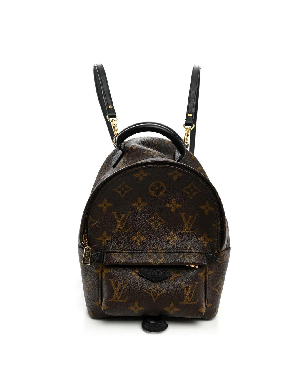 Louis Vuitton Palm Springs Backpack #342053L13B